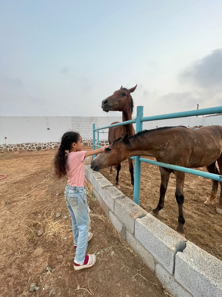 تدريب ركوب الخيل