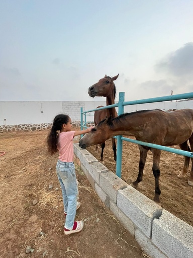 تدريب ركوب الخيل